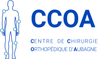 Création site vitrine pour CCOA à Marseille