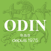 Création site internet Marseille pour Odin SAS