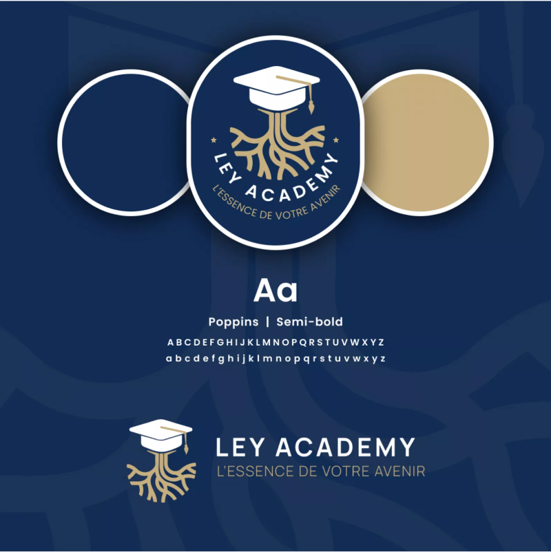 Charte graphique Création site internet Marseille pour Ley Academy