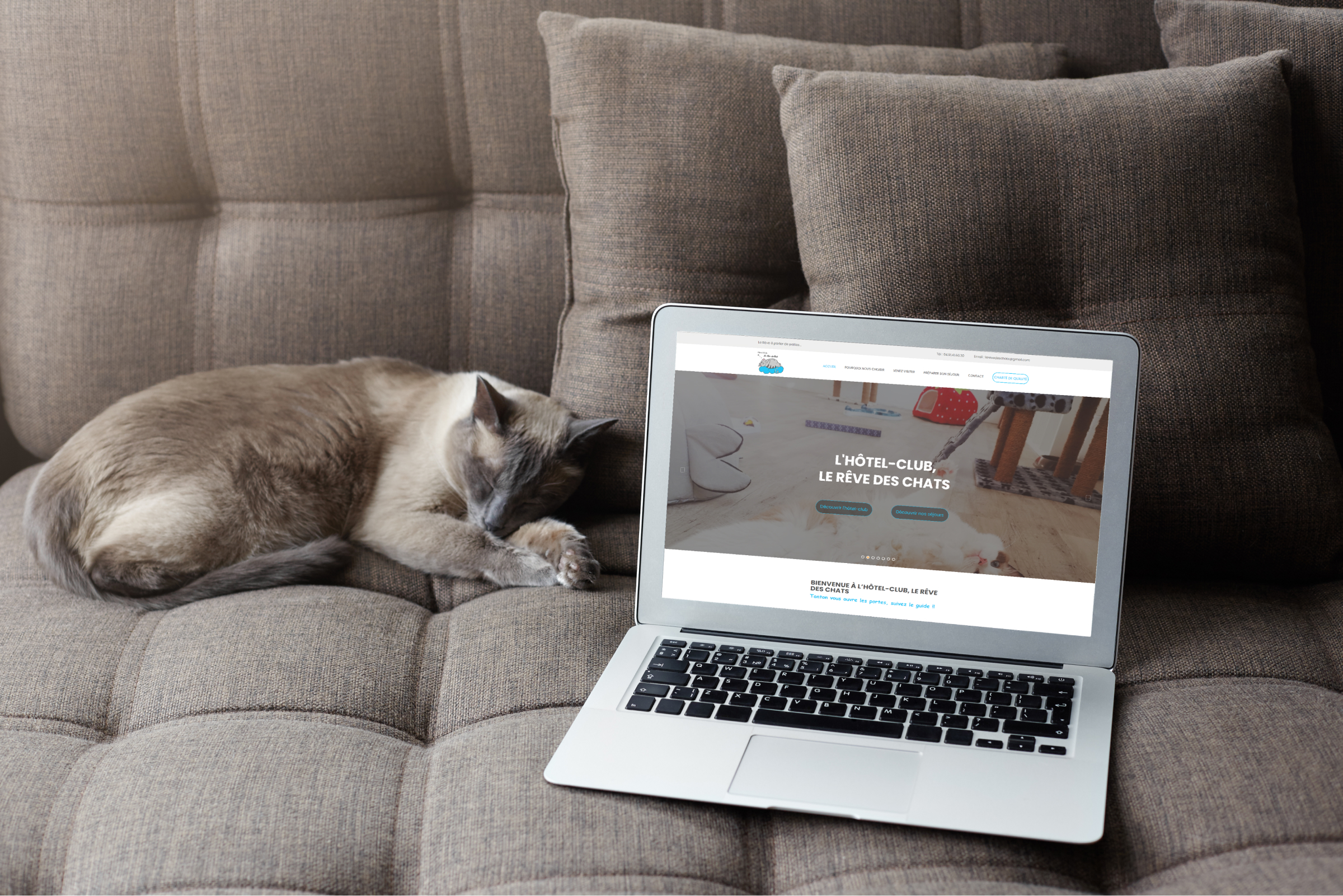 Création du site vitrine pour l'Hôtel Le Rêve des Chats Création site internet Marseille pour Hôtel Le Rêve des Chats