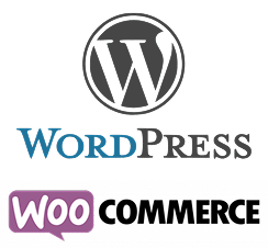 WordPress Agence web Wagaia WordPress Agence web Wagaia
